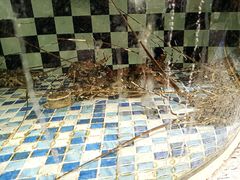 -古韵轩·江浙融合菜(梁溪店)