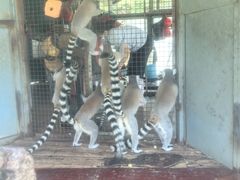 -泉州海丝野生动物世界