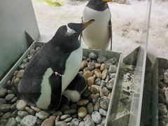 -大连圣亚海洋世界