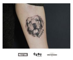 -MDZ STORE·TATTOO·耳饰