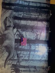 -恐龙探索乐园(磁器口店)