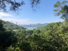 -深圳仙湖植物园