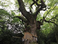 -热田神宫