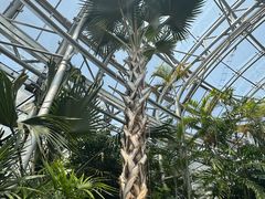 -北京植物园-展览温室