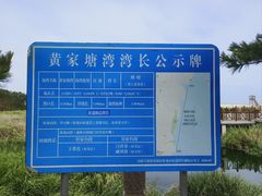 -日照海滨国家森林公园