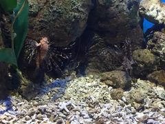 -福州罗源湾海洋世界旅游区