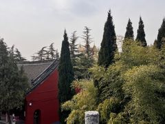 -洛阳白马寺