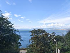 -洱海月湿地公园