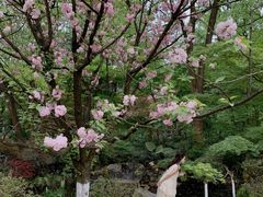-南山植物园