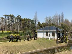 -上海长兴岛郊野公园