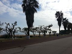 -黄金海岸环岛路