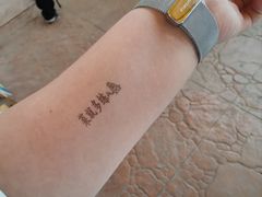 -嘉峪关方特欢乐世界