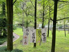 -五泄景区