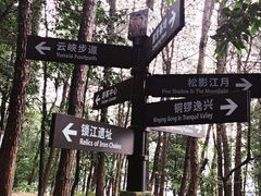 -铁山坪森林公园