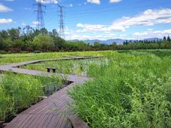 -永定河休闲森林公园