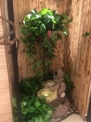 -至爱至信新中式SPA疗愈会所