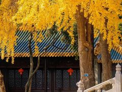 -老门东历史文化街区