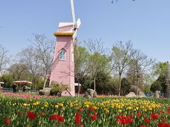 -祥源·阜阳生态乐园