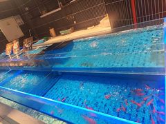 -海底捞火锅(长宁路龙之梦店)