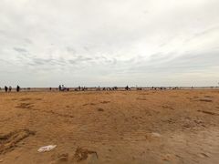 -刘家湾赶海园