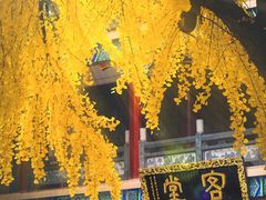 -章华寺