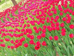 -长春公园(普阳街道)