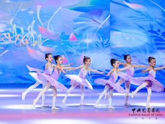 -中央芭蕾舞团·中芭艺蕾(酒仙桥明星校区)