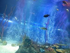 -沈阳海洋探索中心