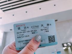 -塘沽站