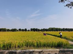 -嘉北郊野公园