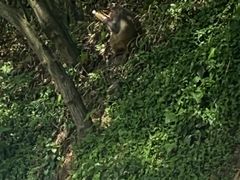 景点-黔灵山公园