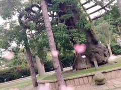 -台北101