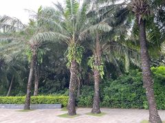-深圳湾公园(南山区)