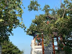 -北京西山国家森林公园