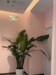 -郑州缔莱美医疗美容医院