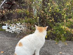 -天台山赤城山景区