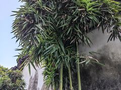 -前童古镇