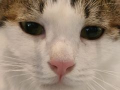 -远洋未来广场(育慧北路店)