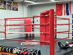 -TFC 纯泰拳馆MuayThai