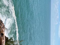 -广东惠东海龟国家级自然保护区