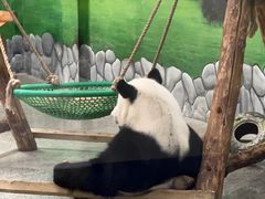 -临沂动植物园