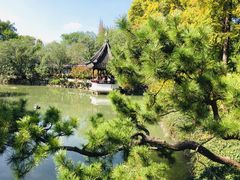 -上海醉白池公园