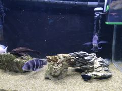 -鄂尔多斯野生动物园