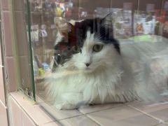 -FAELING PETS美天灵宠物(富力广场店)
