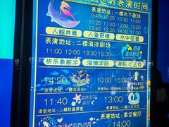 -泉城欧乐堡海洋极地世界