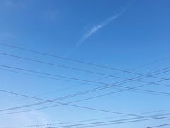 -雪绿茶博物馆