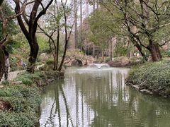 -上海醉白池公园