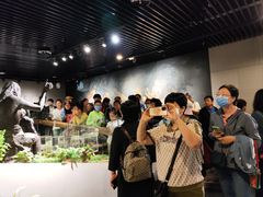 -北京周口店北京人遗址博物馆