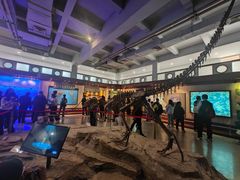 -自贡恐龙博物馆