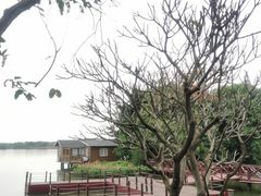 -海珠湖公园